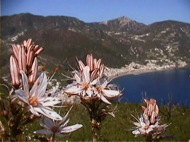 Casa Eolia _ Residenza Villa Città di Lipari